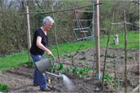 Gemeinschaftsgarten Templin Foto: Georg Eichinger Gemeinschaftsgarten Templin Foto: Georg Eichinger